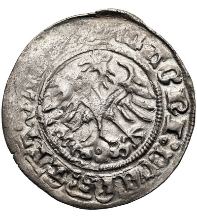 Polska, Zygmunt I Stary 1506-1548. Półgrosz litewski 1511, mennica Wilno