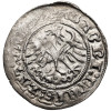 Polska, Zygmunt I Stary 1506-1548. Półgrosz litewski 1511, mennica Wilno
