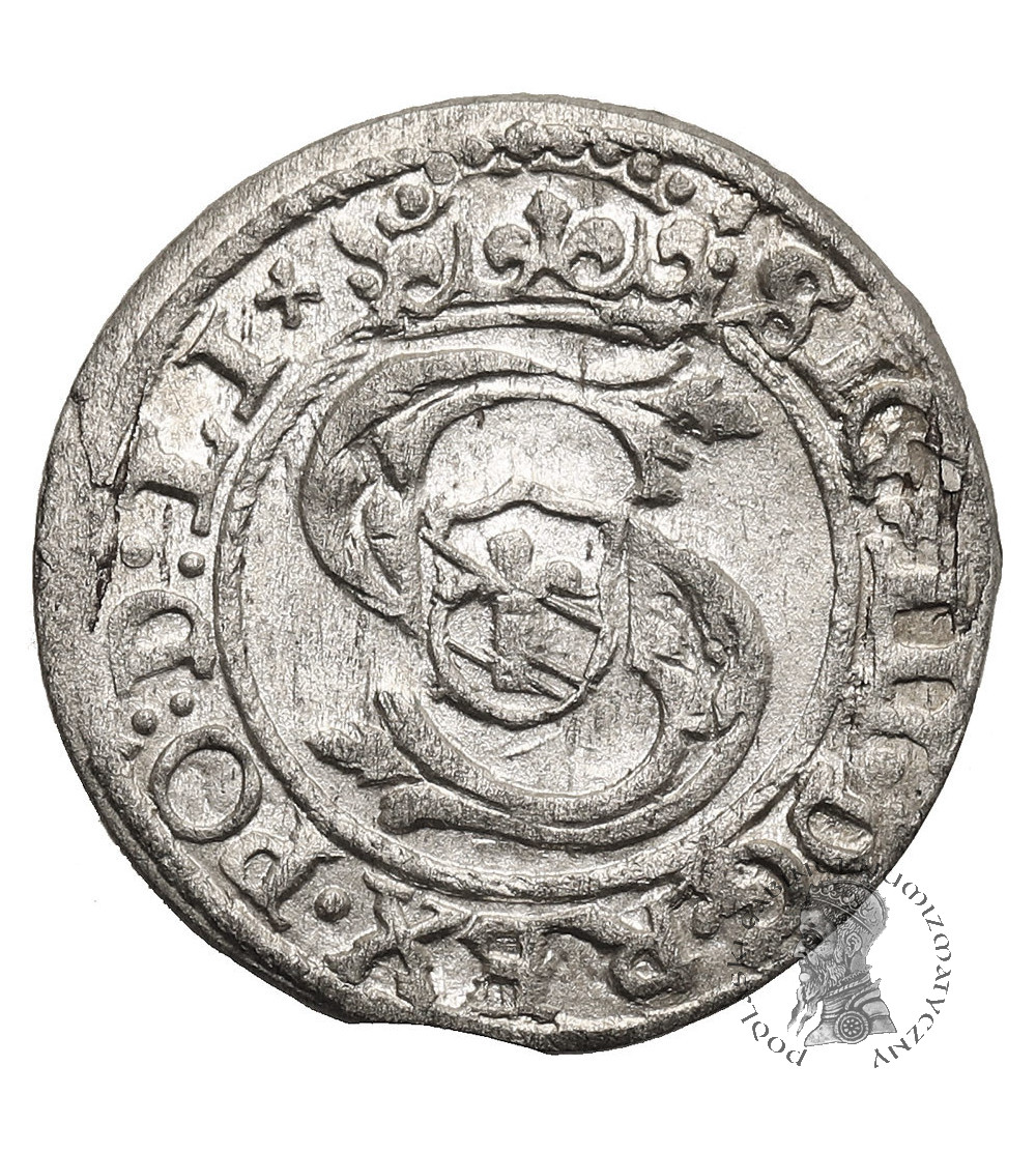 Polska. Zygmunt III Waza, 1587-1632. Szeląg 1601, mennica Ryga