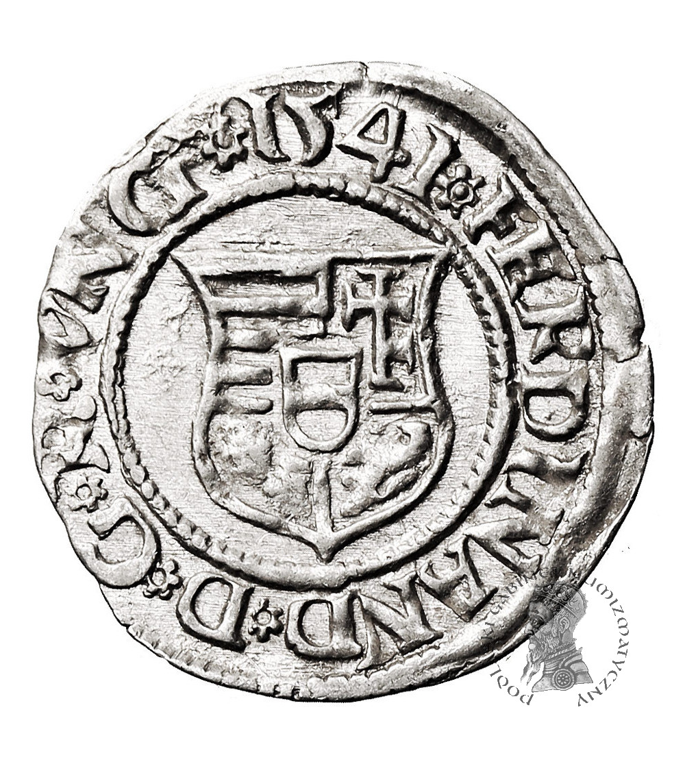 Węgry, Ferdynand I (1526-1564). Denar 1541 KB, Kremnica