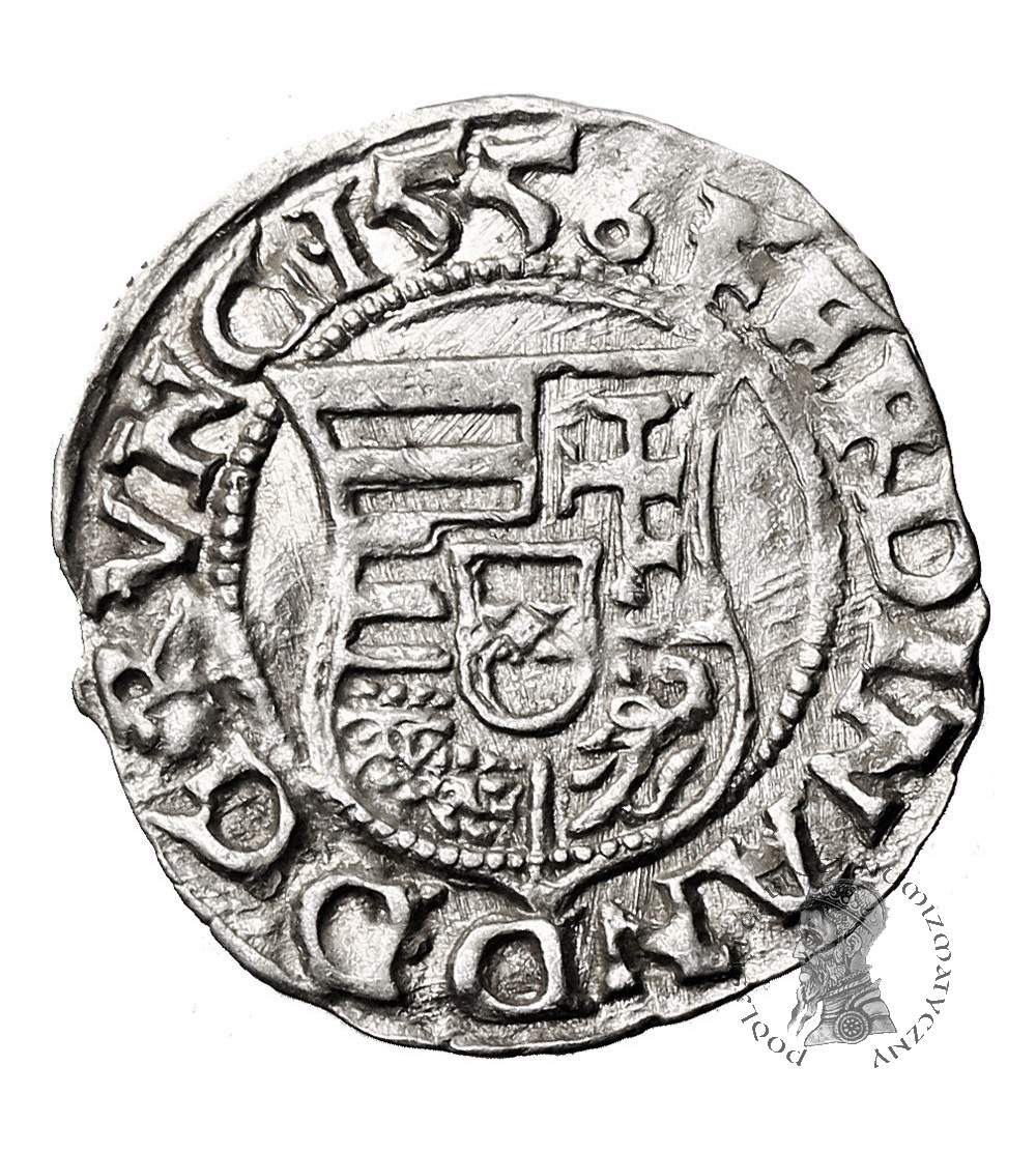 Węgry, Ferdynand I (1526-1564). Denar 1556 KB, Kremnica