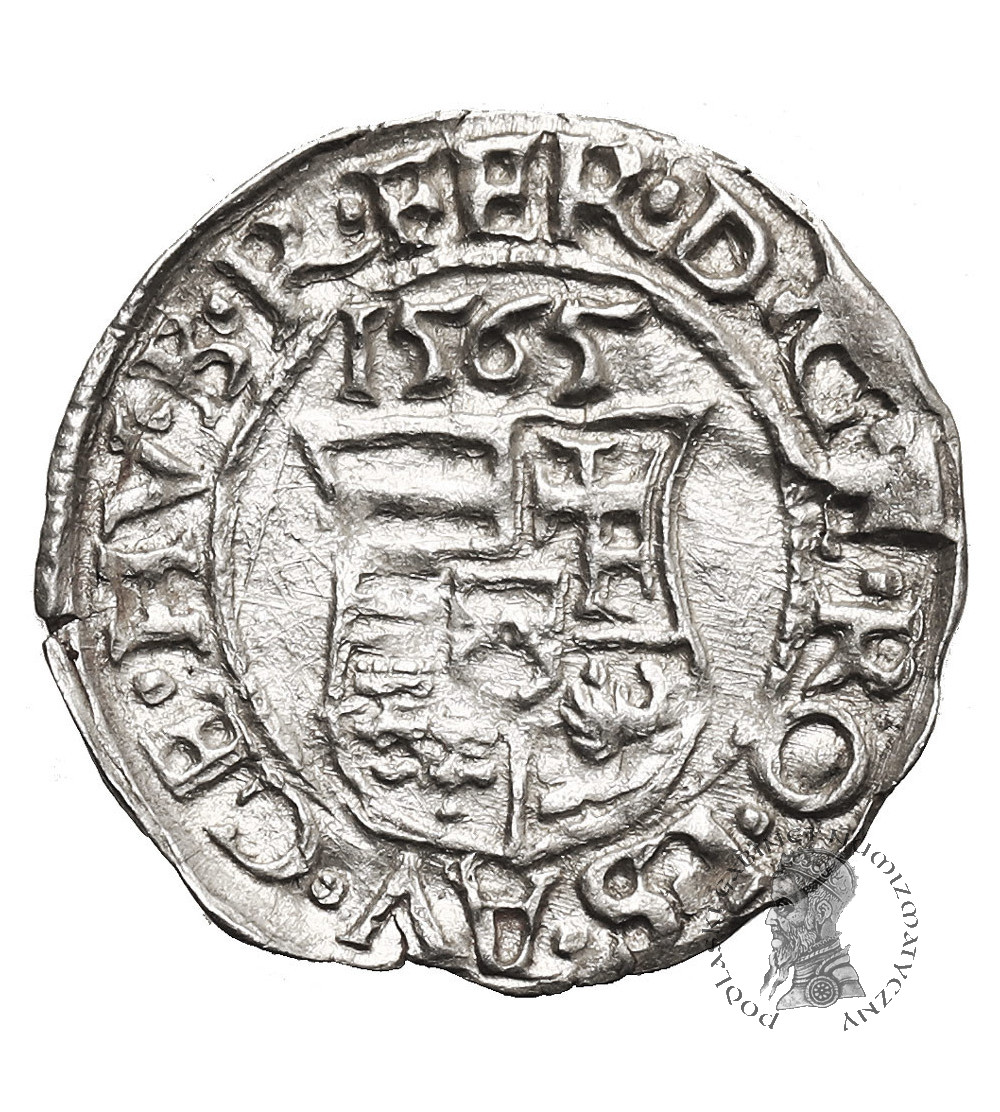 Węgry, Ferdynand I (1526-1564). Denar 1565 KB, Kremnica