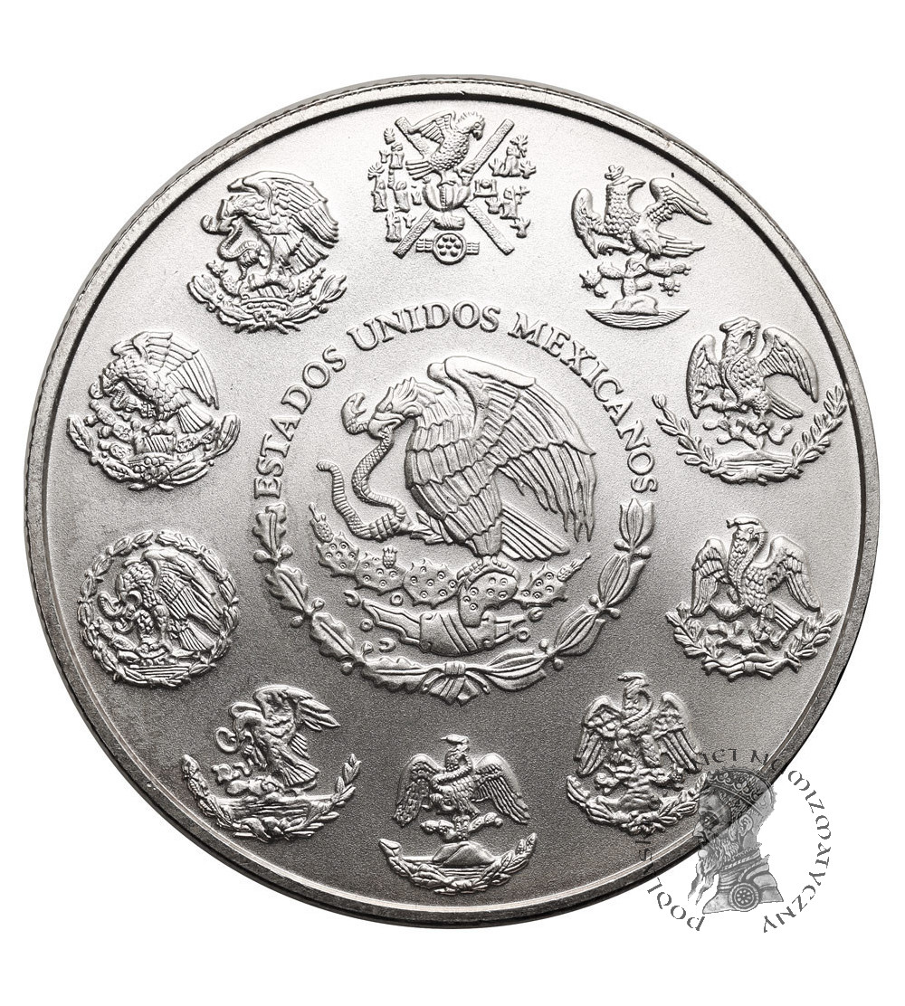 Meksyk. 1 Onza 2013, Libertad - Ag 1 Oz .999