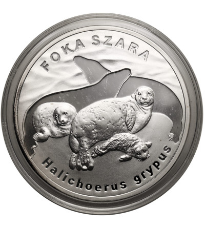 Poland. 20 Zlotys 2007, Grey seal (Halichoerus grypus) - Proof