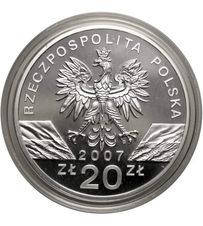 Poland. 20 Zlotys 2007, Grey seal (Halichoerus grypus) - Proof