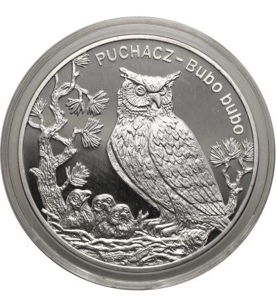 Poland. 20 Zlotys 2005, Eurasian eagle owl (Bubo bubo) - Proof