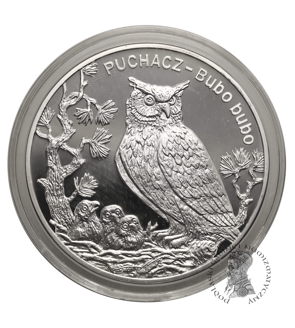 Polska. 20 złotych 2005, Puchacz (Bubo bubo) - Proof