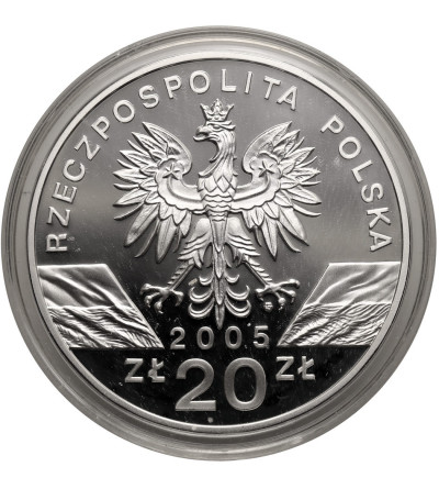 Polska. 20 złotych 2005, Puchacz (Bubo bubo) - Proof