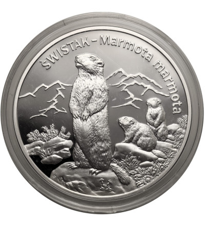 Polska. 20 złotych 2006, Świstak (Marmota marmota) - Proof