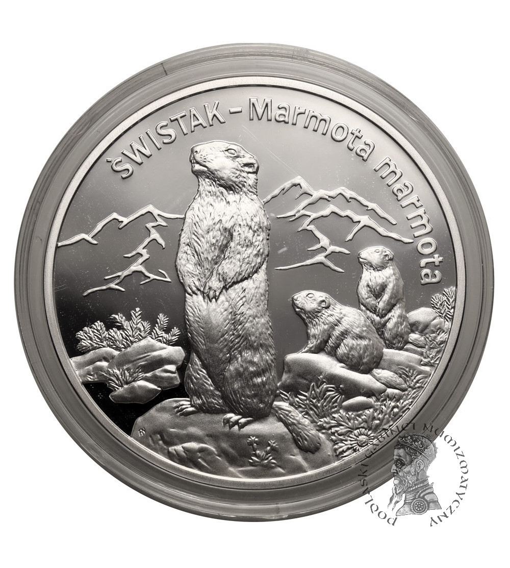 Poland. 20 Zlotys 2006, Marmot (Marmota marmota) - Proof