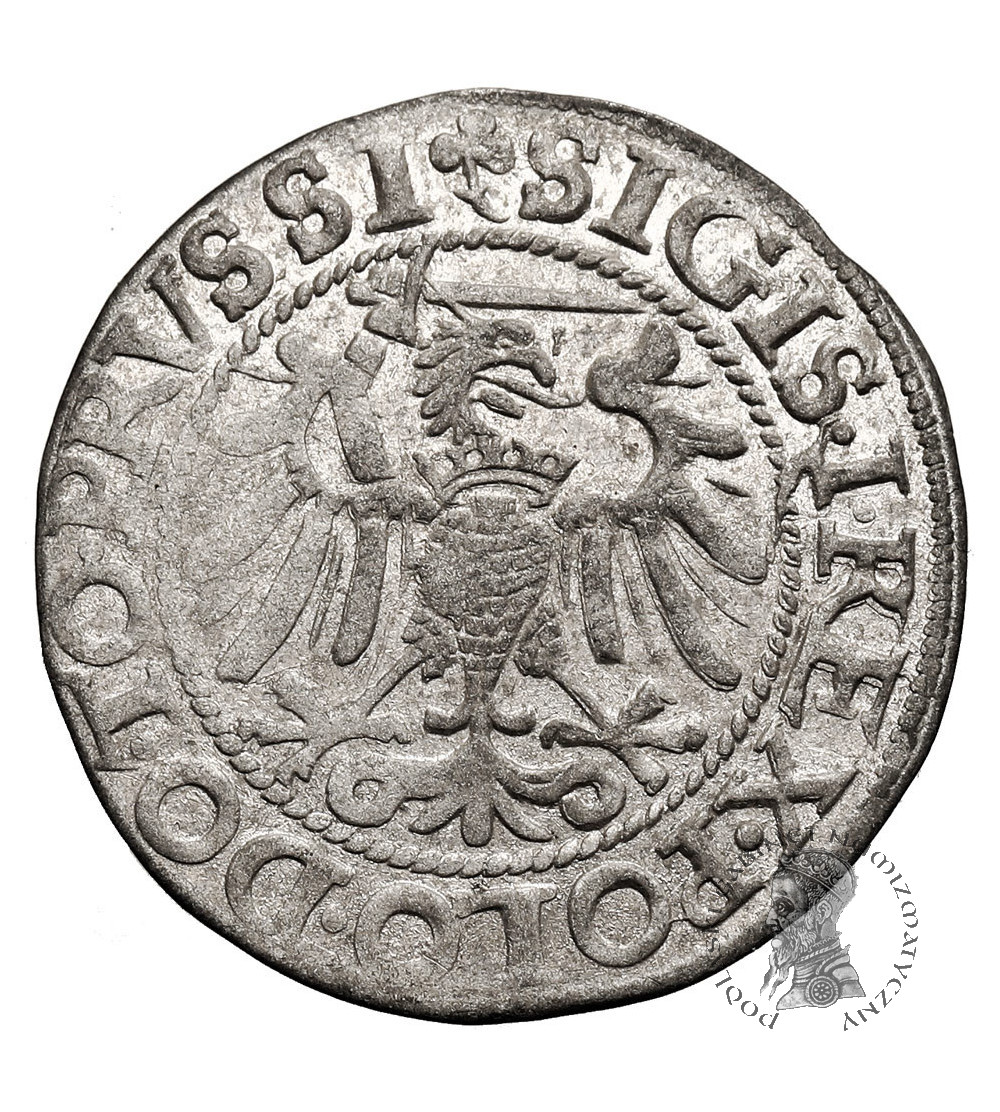 Polska. Zygmunt I Stary, 1506-1548. Grosz 1540, mennica Elbląg - PRVSSI