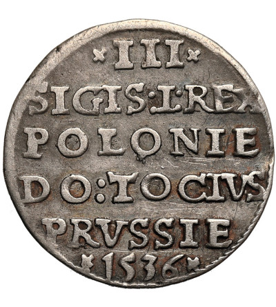 Poland. Zygmunt I Stary, 1506-1548. Trojak (3 grosze) 1536, Elbląg (Elbing) Mint - ELBINK