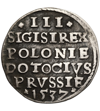 Poland. Zygmunt I Stary, 1506-1548. Trojak (3 grosze) 1537, Elbląg (Elbing) Mint - ELBINK