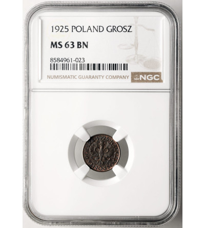 Poland. 1 Grosz 1925, Warsaw Mint - NGC MS 63 BN