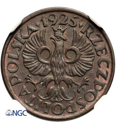 Poland. 1 Grosz 1925, Warsaw Mint - NGC MS 63 BN