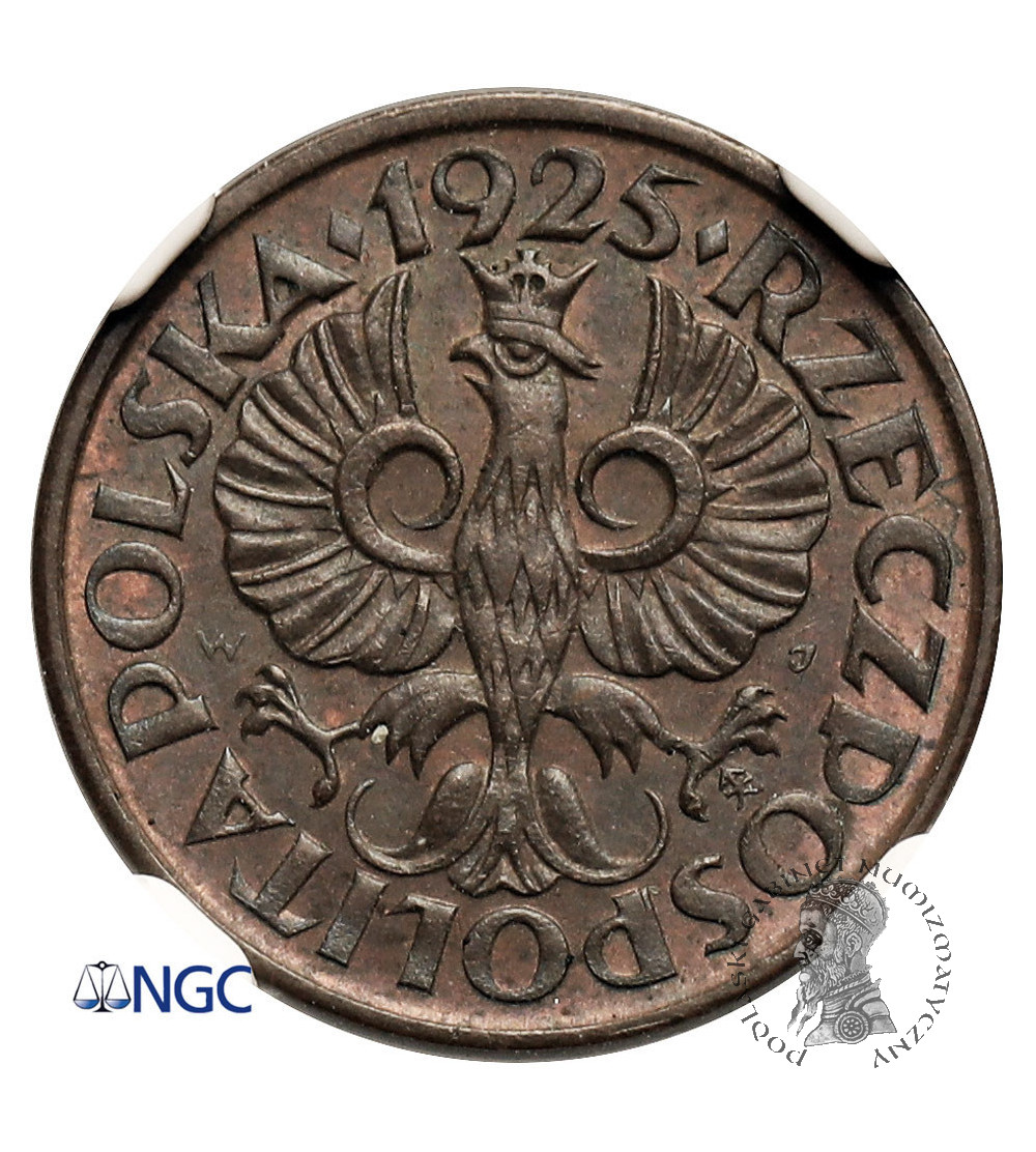 Polska. 1 grosz 1925, Warszawa - NGC MS 63 BN
