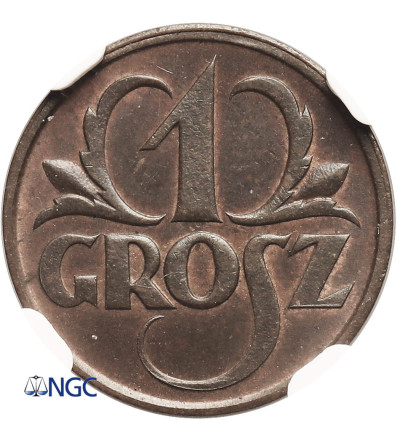 Poland. 1 Grosz 1925, Warsaw Mint - NGC MS 63 BN
