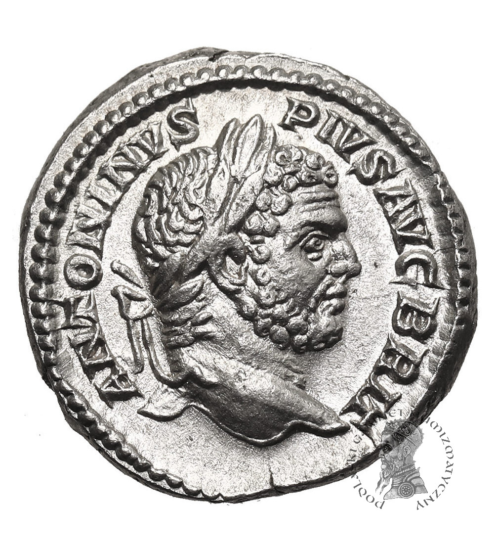 Rzym Cesarstwo. Karakala, 198-217 AD. AR Denar 212 AD, mennica Rzym