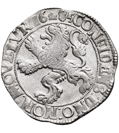 Niderlandy, Overijssel. Miasto Kampen (Campen). Talar lewkowy (Leeuwendaalder / Lion Daalder) 1685, mennica Kampen (Campen)