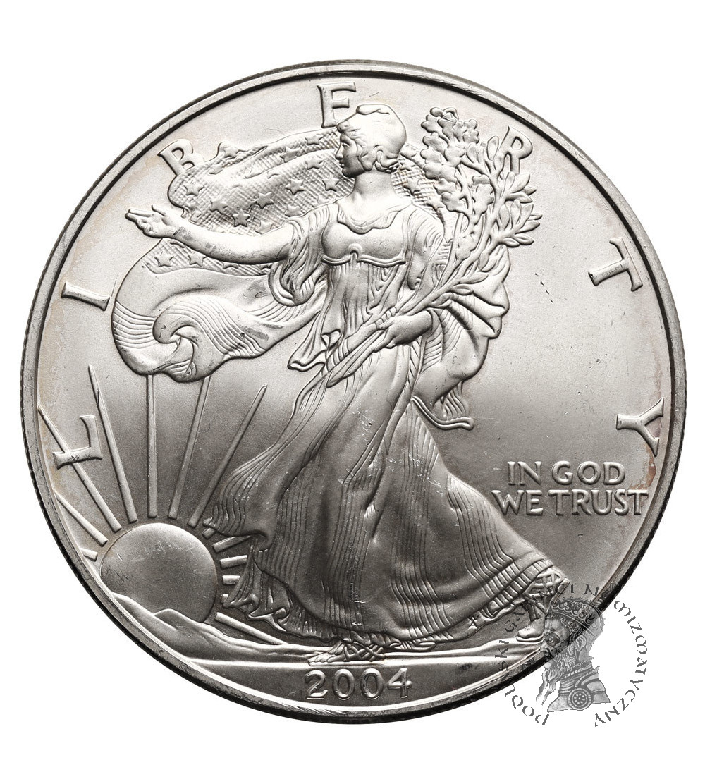 USA. 1 dolar 2004, American Eagle, Liberty - 1 Oz .999