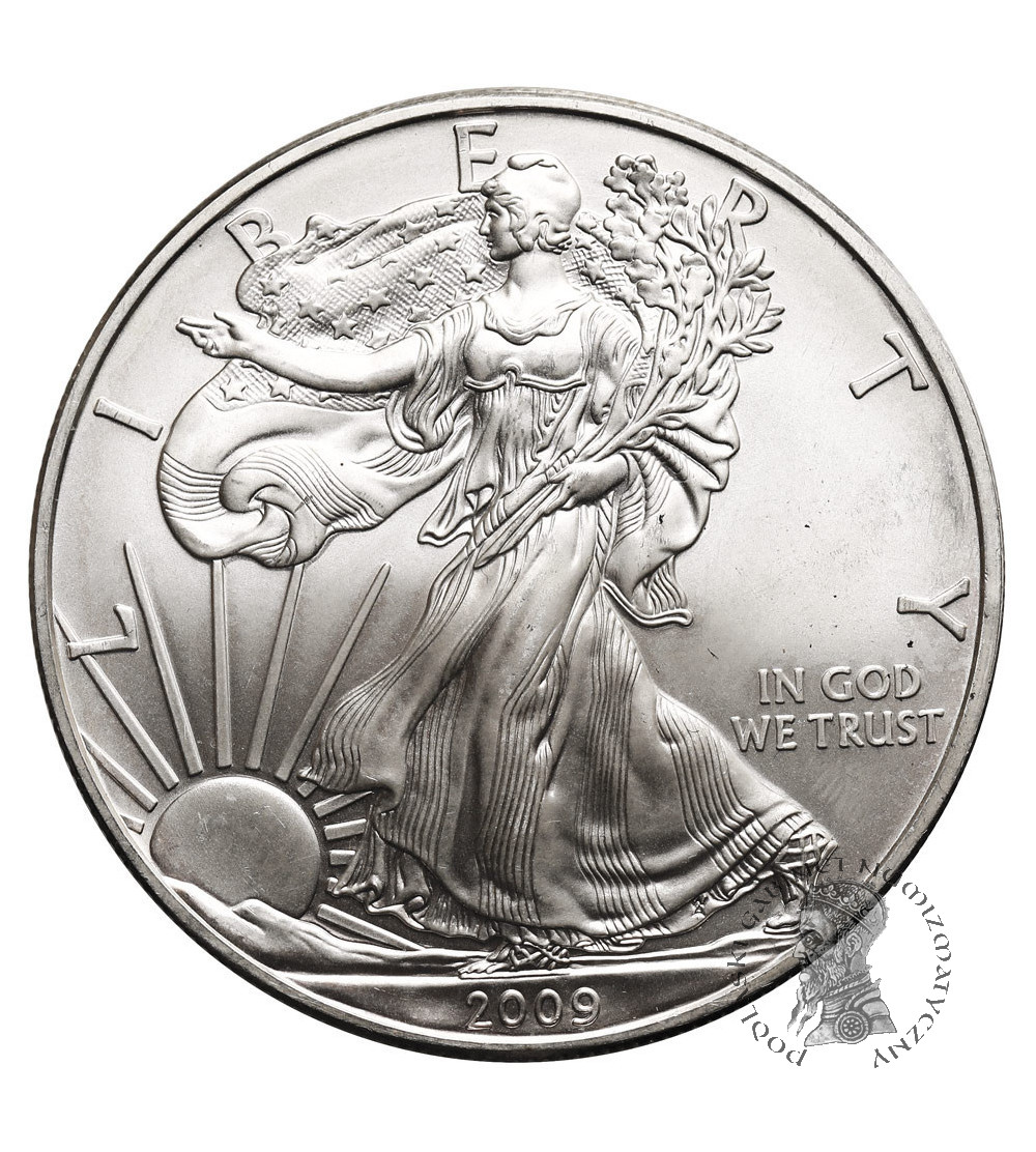 USA. 1 dolar 2009, American Eagle, Liberty - 1 Oz .999