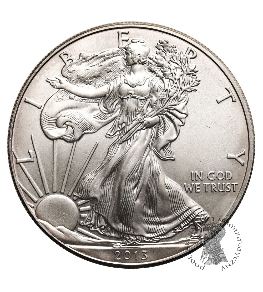 USA. 1 dolar 2013, American Eagle, Liberty - 1 Oz .999