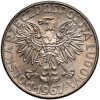 Polska, PRL (1952-1989). 10 złotych 1967, Maria Skłodowska-Curie