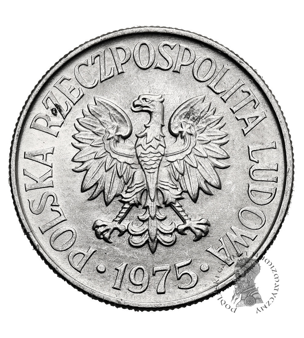 Poland, PRL (1952-1989). 50 Groszy 1975, no mint mark, Kremnica