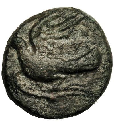 Antyczna Grecja. Peloponez. Sikyonia / Sikyon. AE Chalkous, ok. 250-200 r. p.n.e.