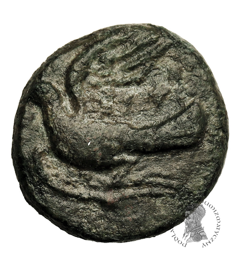 Ancient Greece, Peloponnesos. Sikyonia / Sikyon. AR Chalkous, c. 250-200 BC