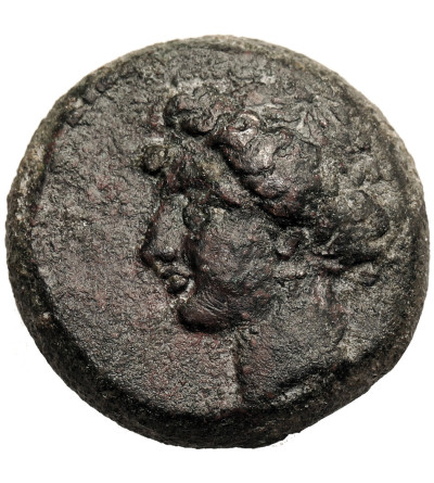 Antyczna Grecja. Tesalia, Larisa. AE Dichalkon, ok. 400-344 r. p.n.e.