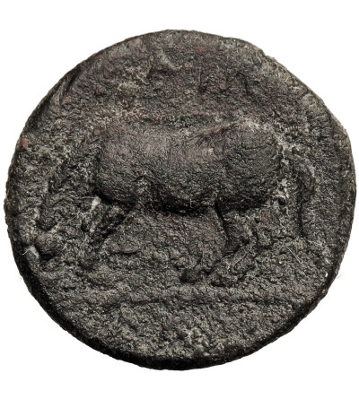 Antyczna Grecja. Tesalia, Larisa. AE Dichalkon, ok. 400-344 r. p.n.e.