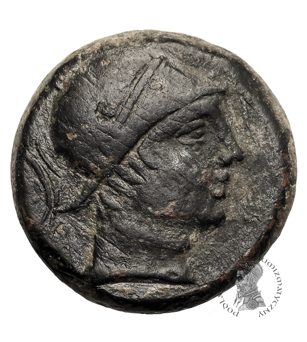 Antyczna Grecja. Amisos, Pontos. Brąz / AE 19 mm, ok. 111-105 r. p.n.e., czasy Mithridatesa VI, ok. 120-63 p.n.e.