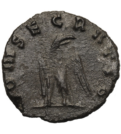Rzym Cesarstwo, Divus Klaudiusz II Gocki, 268-270. AE Antoninian, pośmiertny po 270 AD, mennica Rzym - CONSECRATIO
