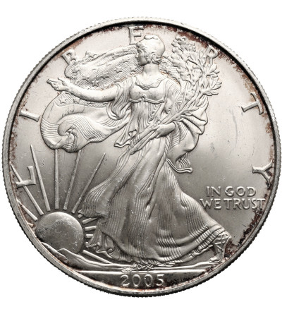 USA. 1 dolar 2005, American Eagle, Liberty - 1 Oz .999