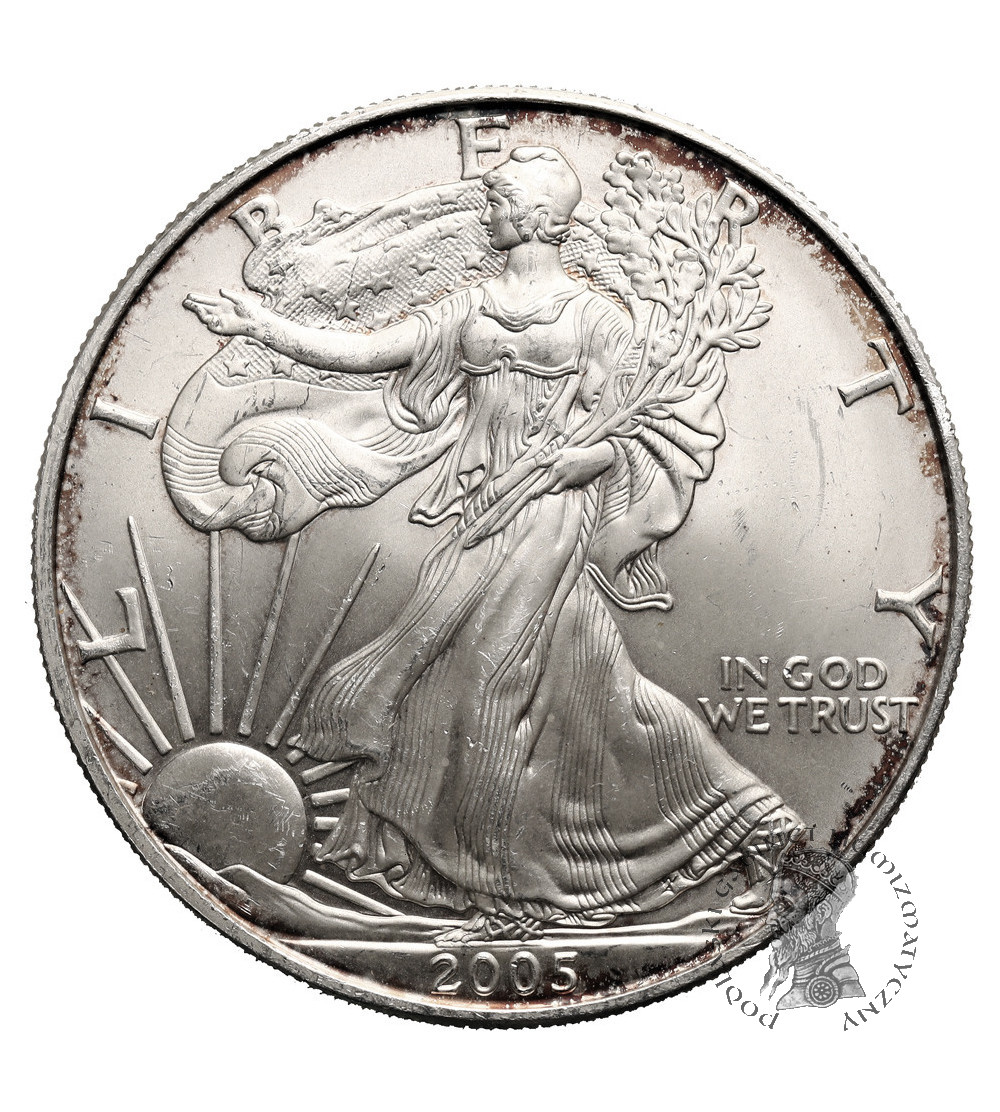 USA. 1 dolar 2005, American Eagle, Liberty - 1 Oz .999