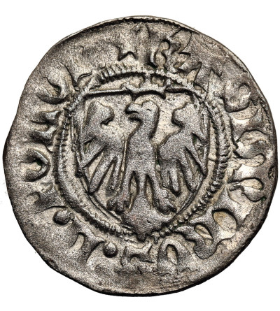 Polska. Kazimierz IV Jagiellończyk, 1446-1492. Szeląg bez daty, Elbląg