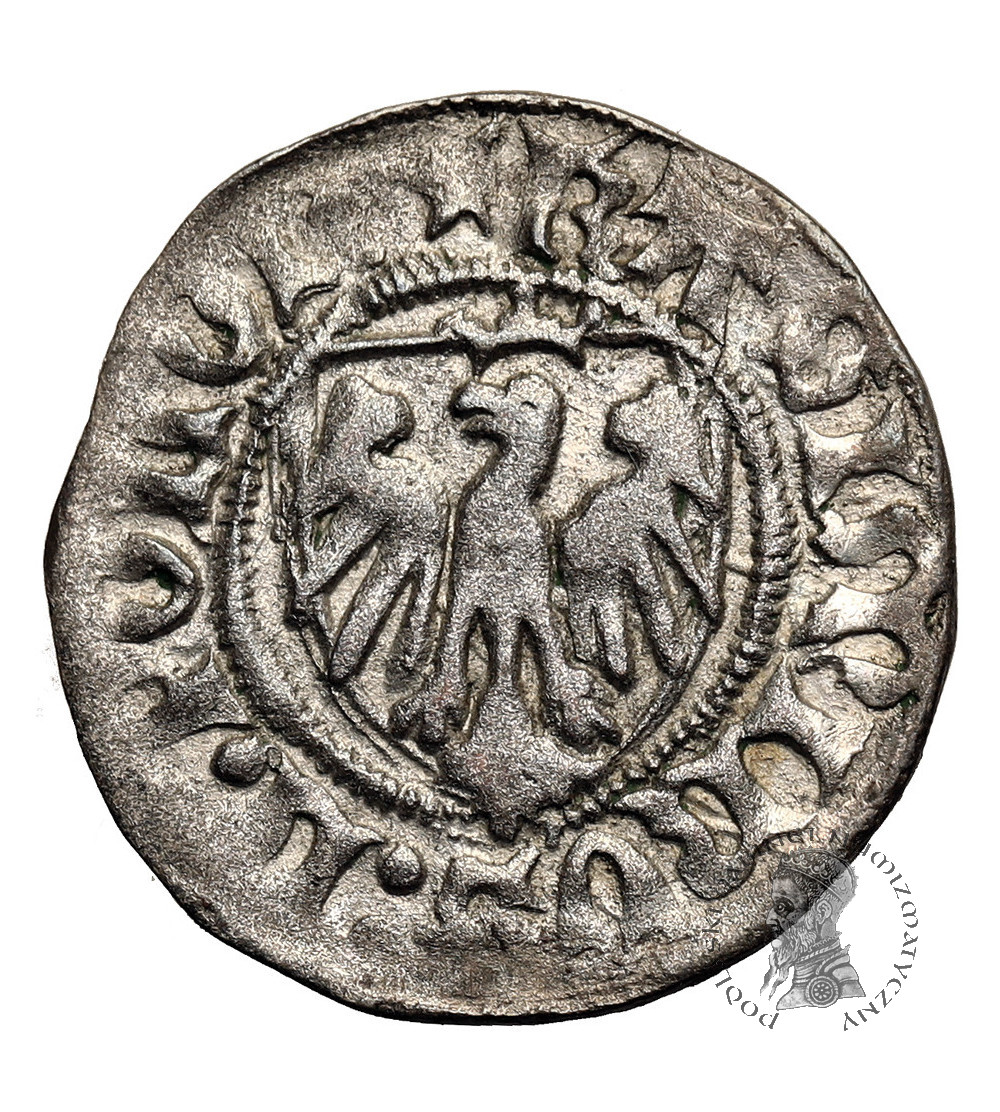 Polska. Kazimierz IV Jagiellończyk, 1446-1492. Szeląg bez daty, Elbląg