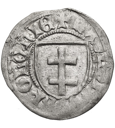 Polska. Kazimierz IV Jagiellończyk 1446-1492. Szeląg bez daty, Toruń