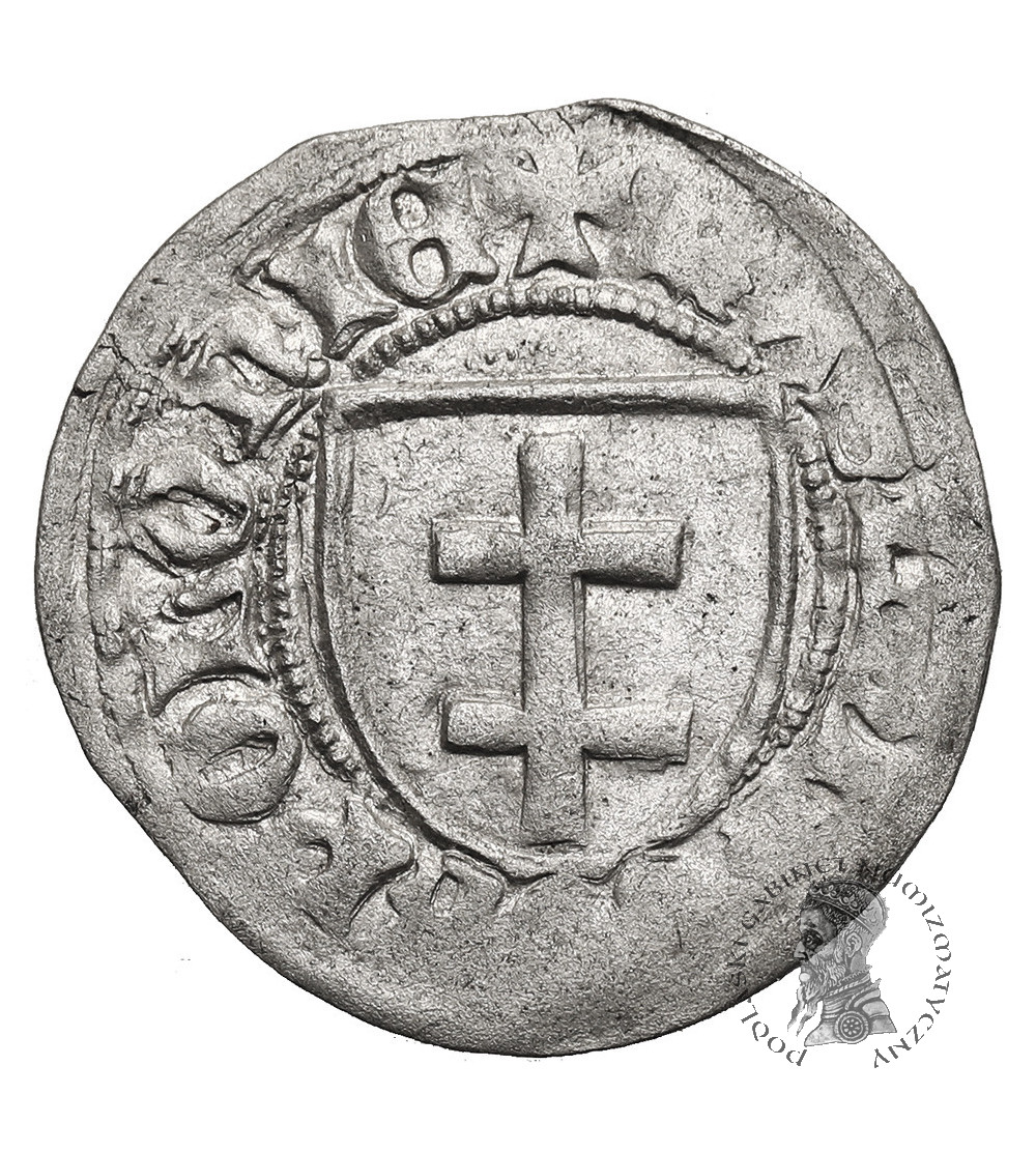 Polska. Kazimierz IV Jagiellończyk 1446-1492. Szeląg bez daty, Toruń