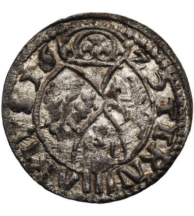 Polska. Zygmunt III Waza, 1587-1632. Ternar (Trzeciak) 1625, Łobżenica