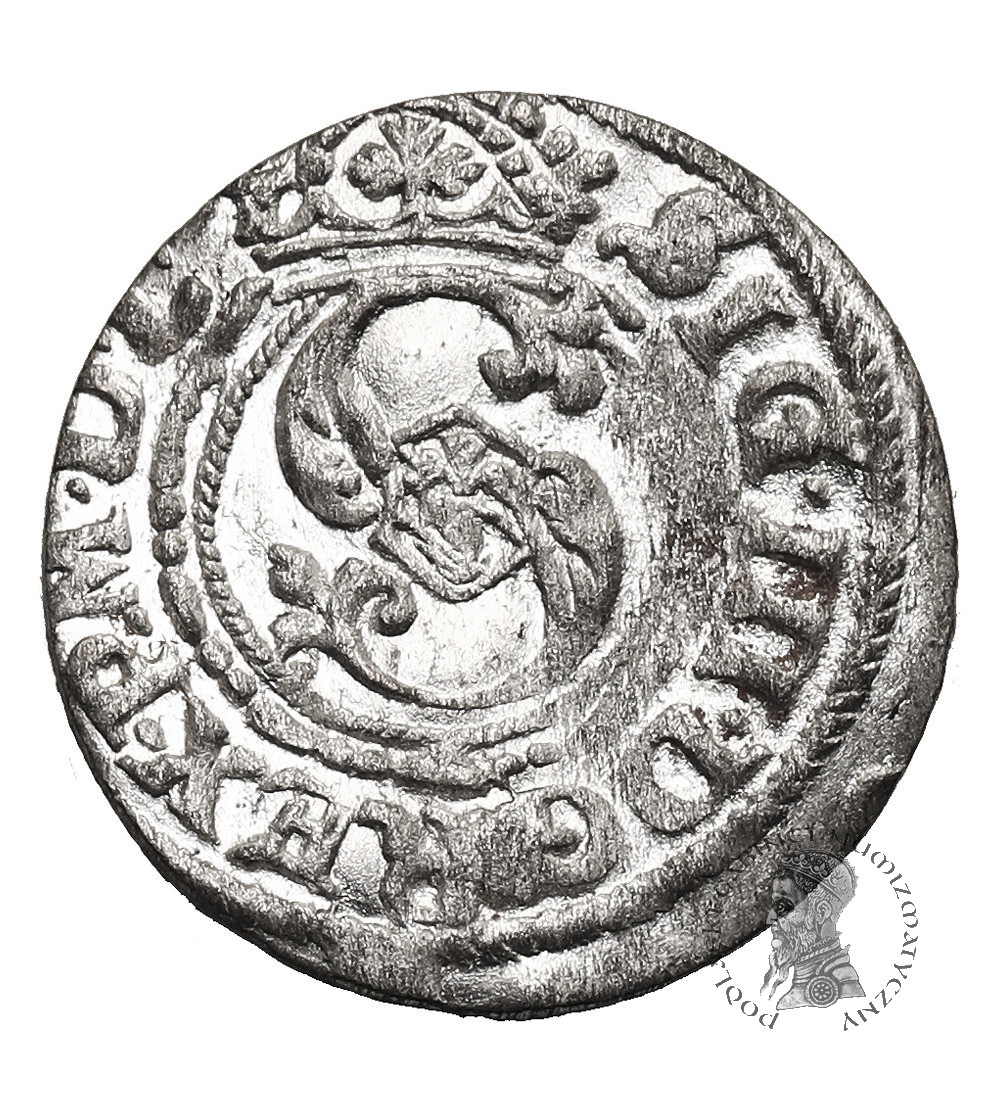 Polska. Zygmunt III Waza, 1587-1632. Szeląg 1620, mennica Ryga (pies w lewo)
