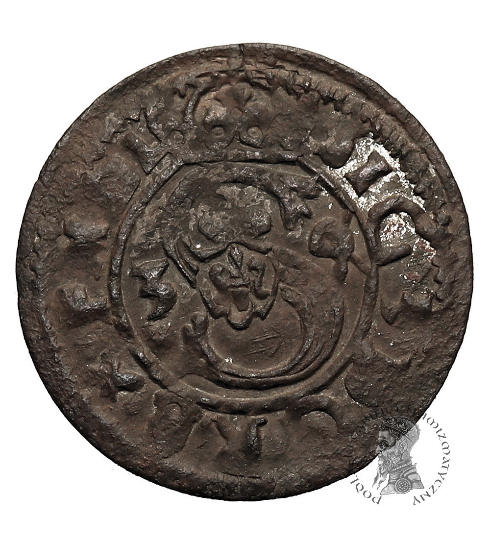 Polska. Zygmunt III Waza, 1587-1632. Ternar (Trzeciak) 1625, Łobżenica