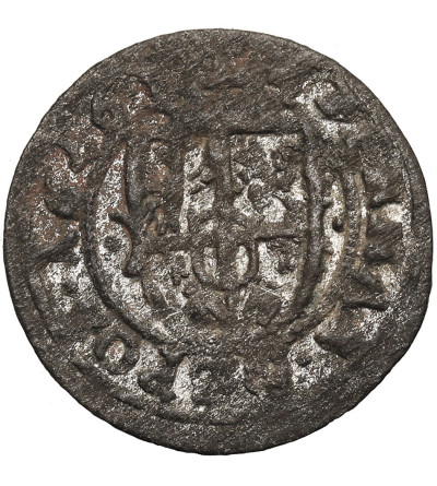 Poland. Zygmunt III Waza, 1587-1632. Ternar (Trzeciak) 1626 / 26, Poznan (Pozen) Mint