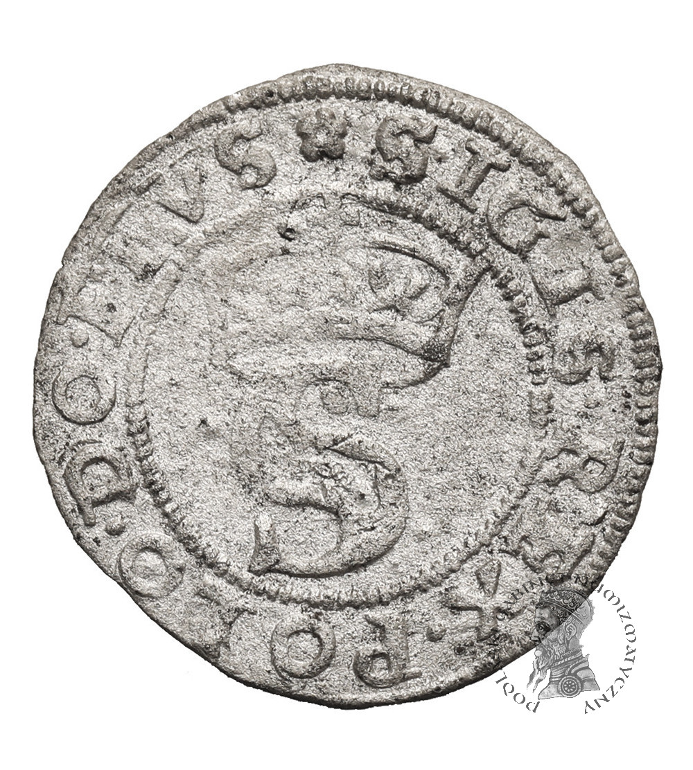 Polska. Zygmunt I Stary 1506-1548. Szeląg 1528, mennica Toruń - PRVS / PRVSSIE (pierwszy typ i rocznik)