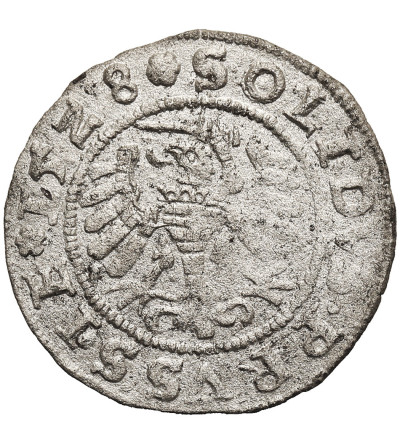 Poland. Zygmunt I Stary, 1506-1548. Szelag (Schilling) 1528, Torun (Thorn) Mint - PRVS / PRVSSIE