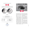 Canada, Elizabeth II (1952-2022). 1 Dollar 1982, Buffalo, Regina Centennial, Collection: “Canadian Silver Dollars” - Proof