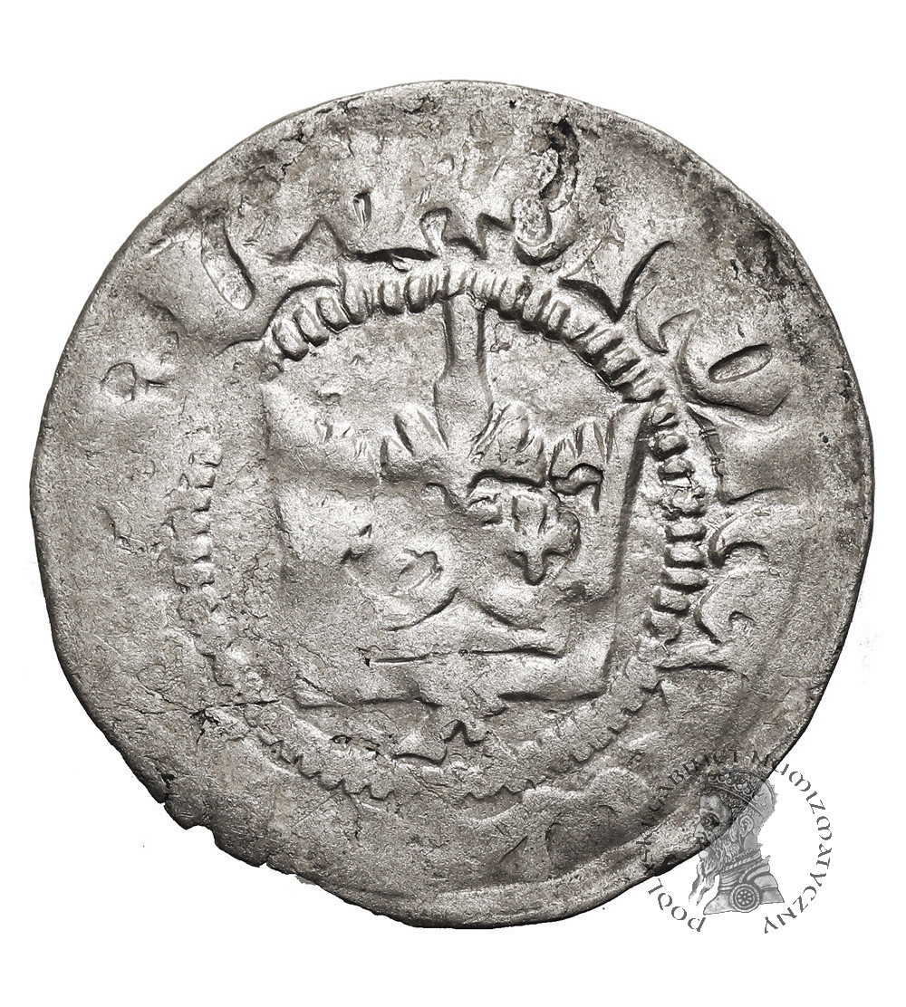 Polska. Władysław Jagiełło 1386-1434. Półgrosz bez daty, typ 4, ok. 1403, Kraków - pod koroną litera A