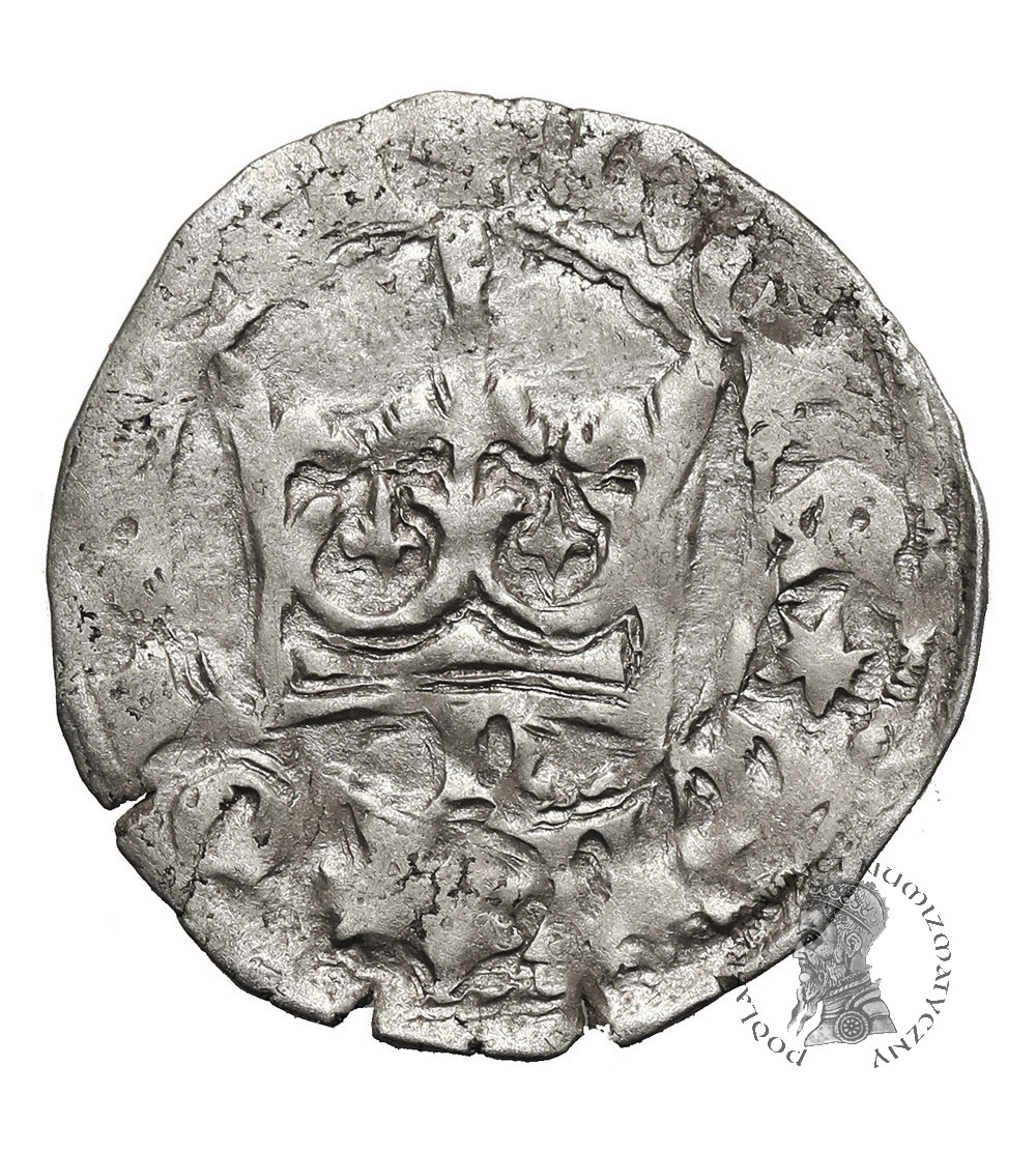 Polska. Władysław Jagiełło 1386-1434. Półgrosz bez daty, typ 2, ok. 1396-1398, Kraków - pod koroną litera N