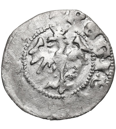 Polska. Władysław Jagiełło 1386-1434. Półgrosz bez daty, typ 7, ok. 1406-1407, Kraków - bez znaku pod koroną